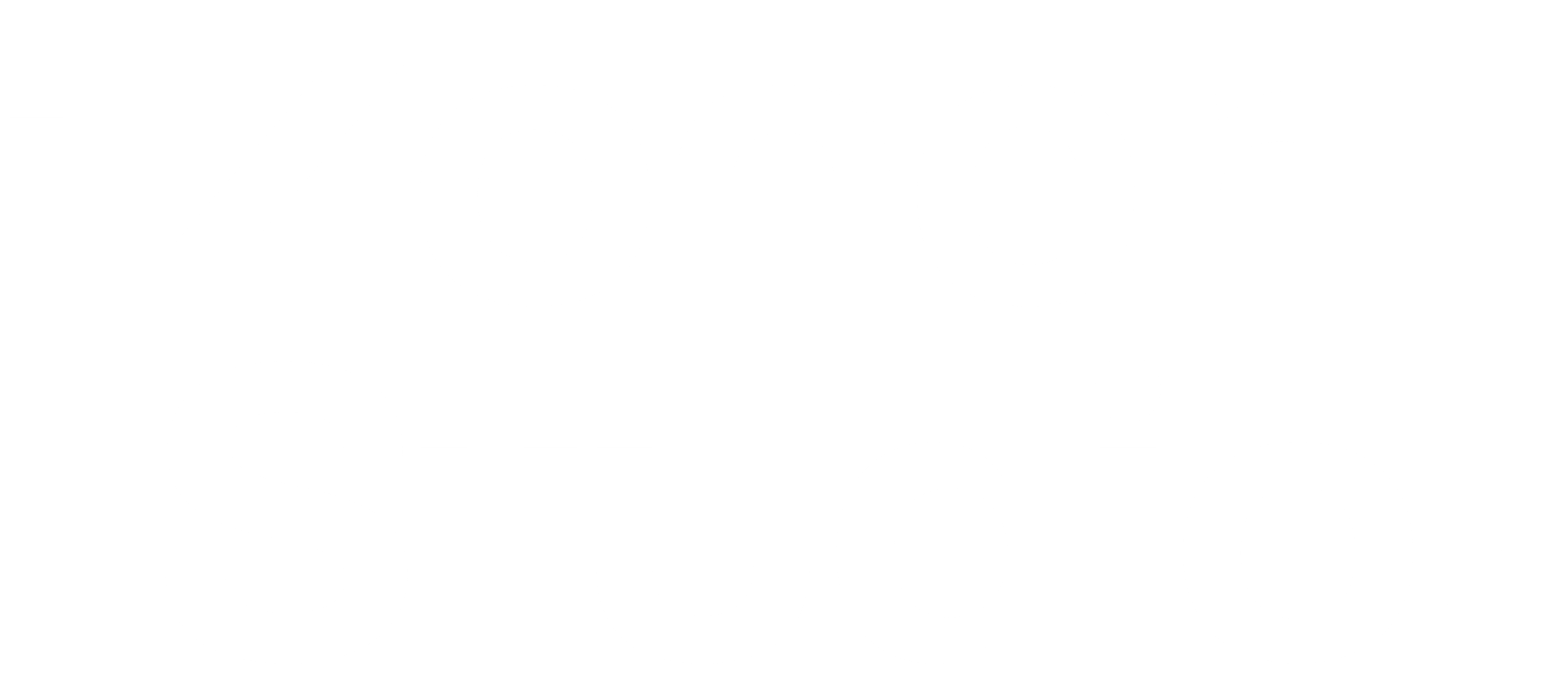 Logo Zoner Studio